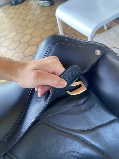 Selle dressage forestier aachen 