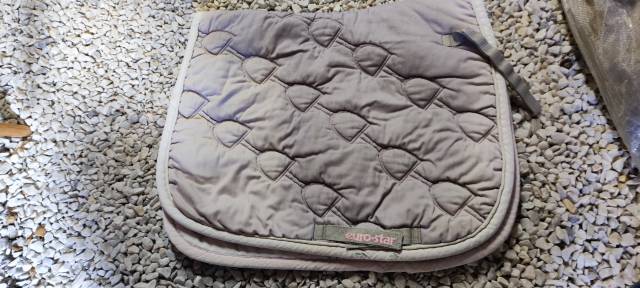 Tapis dressage 