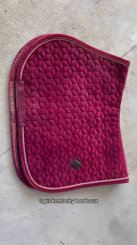 Tapis Kentucky Bordeaux