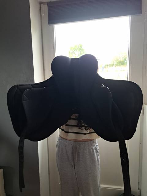 Selle de dressage 