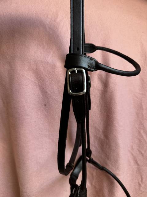 Ensemble Bridon / licol + de pr&eacute;sentation + longe cousu