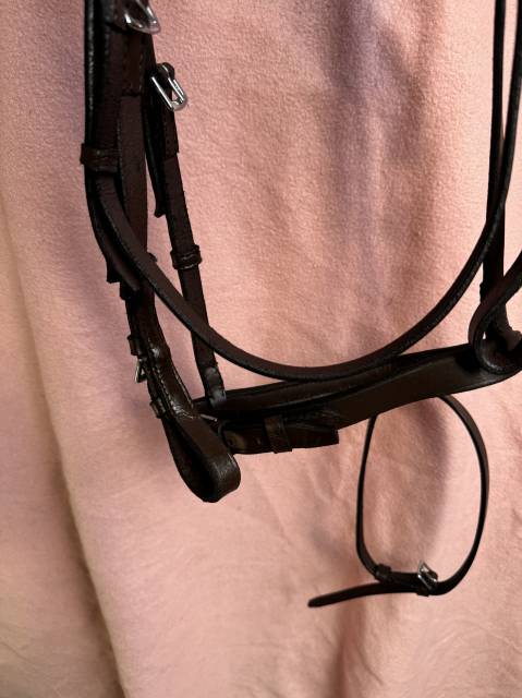 Ensemble bridon demi rond + r&ecirc;nes lisses T. Poney havan