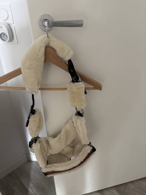 Licol en mouton Penelope Leprevost