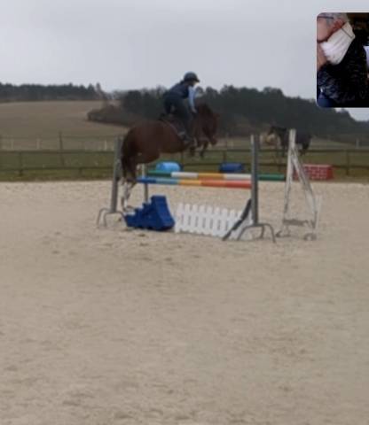 Ponette NF 146cm, 5 ans  moyens pour les AS.