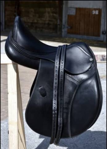 ACavallo Bernini all purpose Saddle