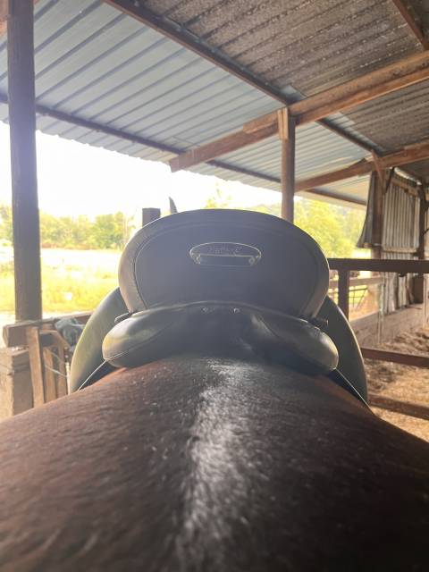 Selle dressage Kieffer Ulla Salzgeber