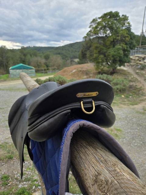 Selle forestier 