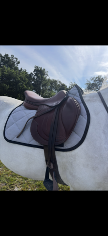 Tapis CSO Equiline