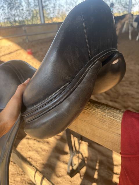 Selle CWD dressage style allemand 