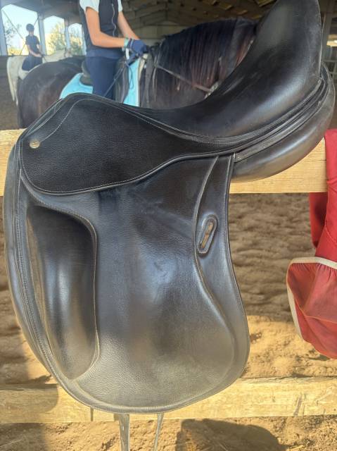 Selle CWD dressage style allemand 