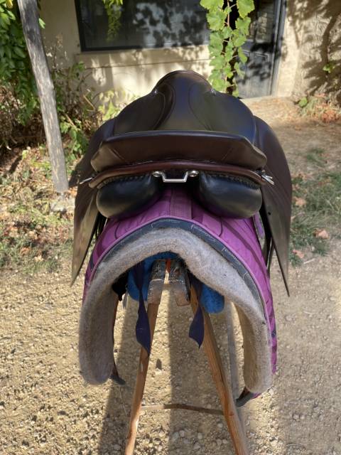 Selle islandais Nordica tophorse Scandinavia 17,5