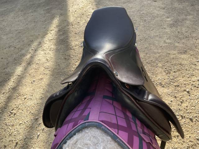 Selle islandais Nordica tophorse Scandinavia 17,5