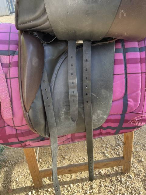 Selle islandais Nordica tophorse Scandinavia 17,5