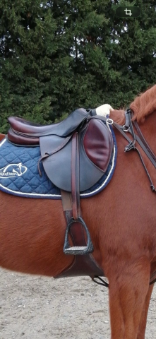 &Agrave; vendre selle CWD 