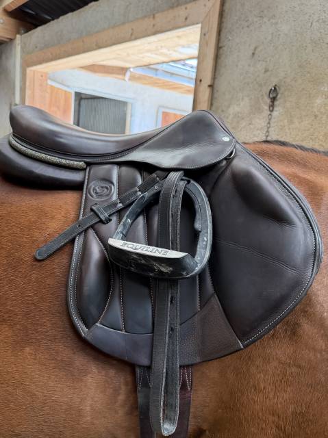 Selle Forestier boecklo 