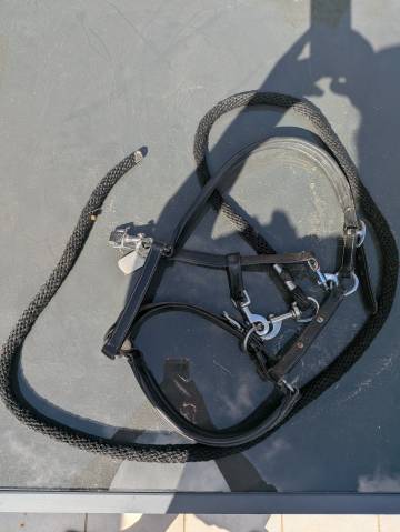 Licol en cuir norton taille cob