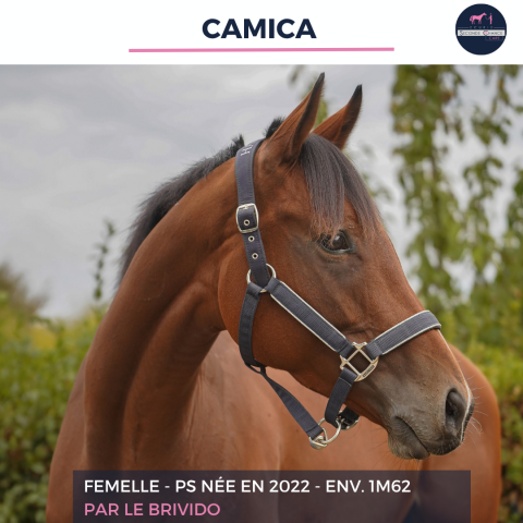 TRIALER - PS - 3 ANS