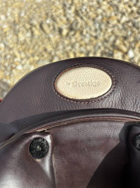 Selle Prestige Roma jump