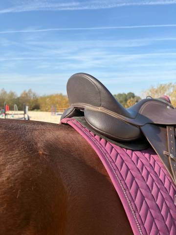 selle wintec 17,5pouce