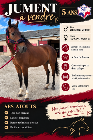 Jument 5 ans SF 