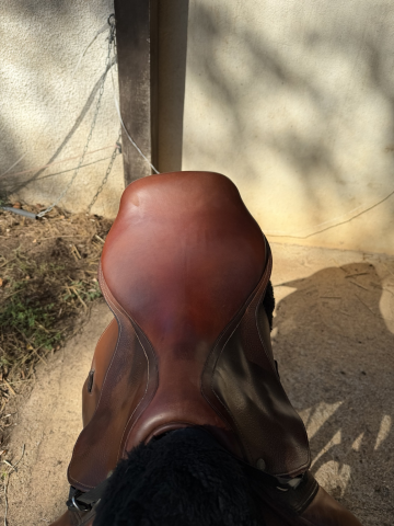 Selle &eacute;quitation Belloir 17,5