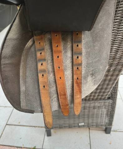 Selle Wintec 2000