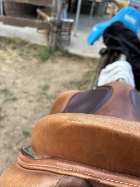 selle &Eacute;ric Thomas Hybrid Fitter Jump