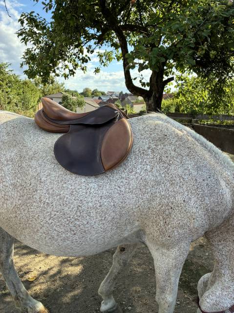 selle &Eacute;ric Thomas Hybrid Fitter Jump