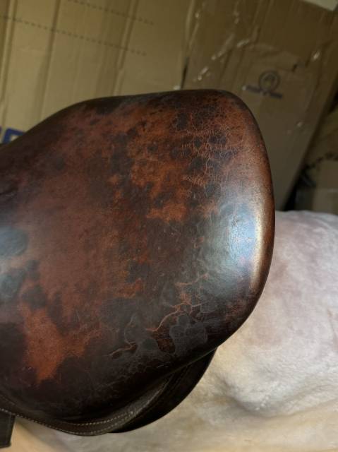 Selle Antar&egrave;s Confort obstacle / mixte Havane Т.17P Ann