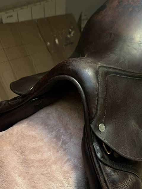 Selle Antar&egrave;s Confort obstacle / mixte Havane Т.17P Ann