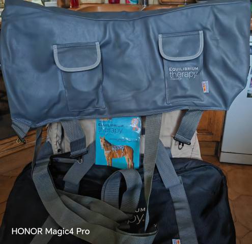 Pack Massage &Eacute;quin Equilibrium Therapy (Tapis + gant) 
