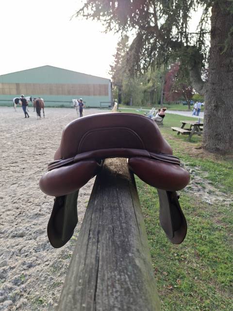 Selle CWD SE02 17,5 03C
