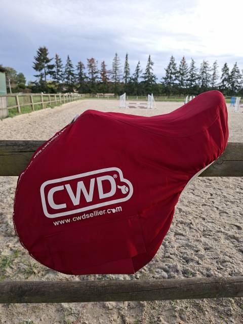 Selle CWD SE02 17,5 03C