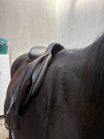 Selle jump&rsquo;in Premium