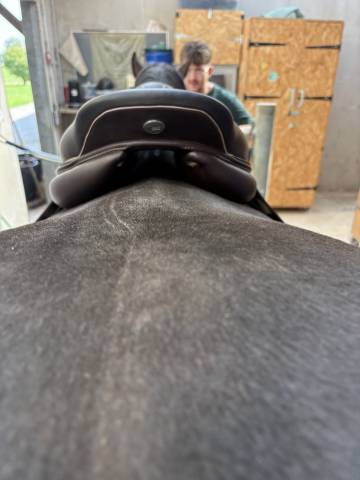 Selle jump&rsquo;in Premium