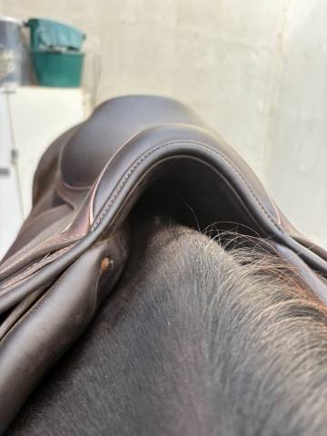 Selle jump&rsquo;in Premium