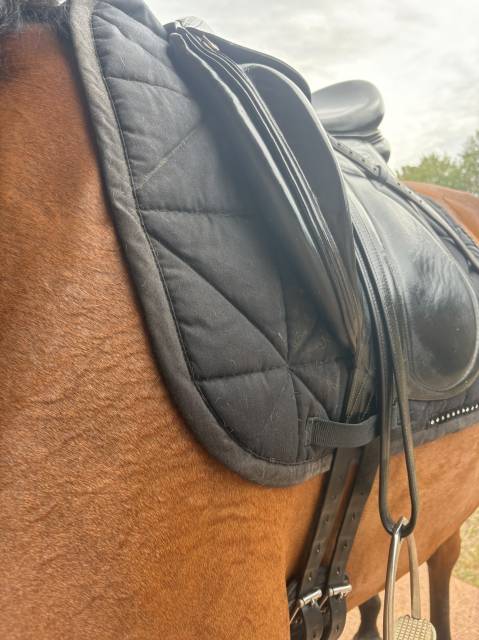 Selle de dressage Devoucoux 