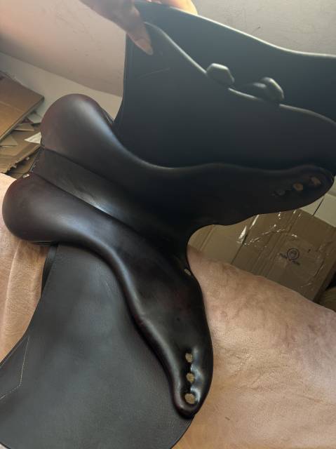 Selle Antar&egrave;s Confort obstacle / mixte Havane Т.17P Ann