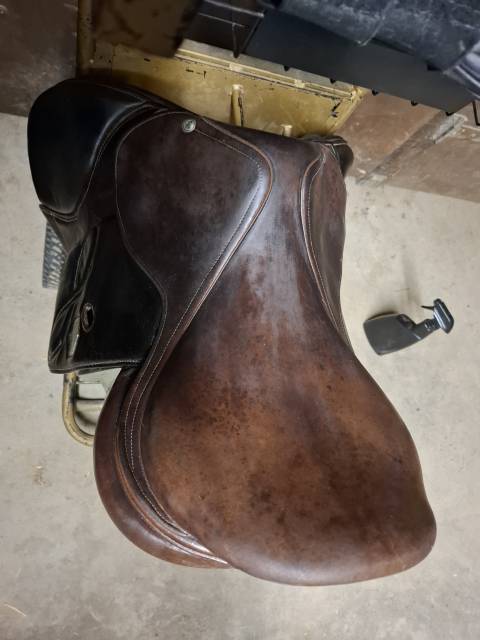 Selle platinium infinity