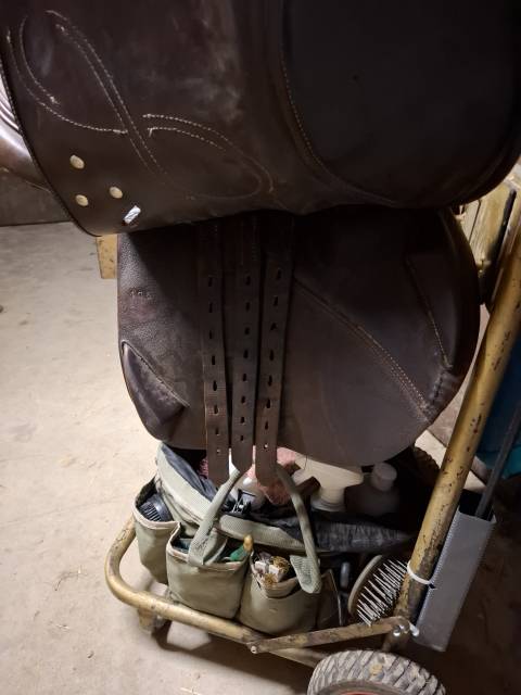 Selle platinium infinity