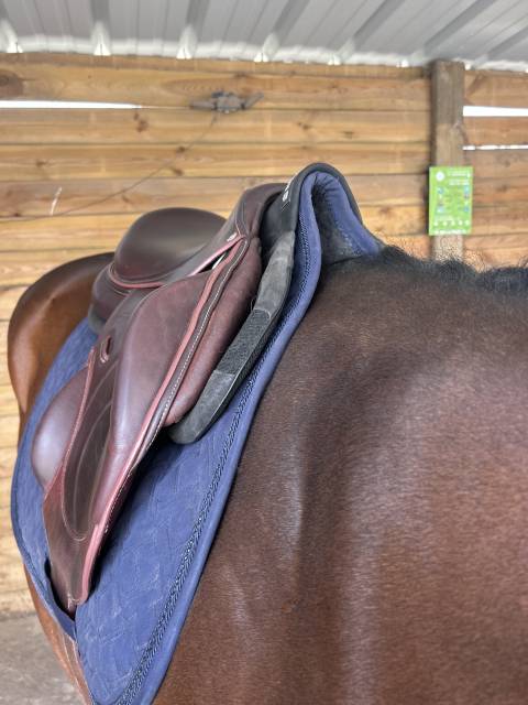 Selle Devoucoux Chiberta O 
