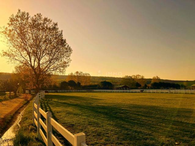Domaine Equestre en Activit&eacute;