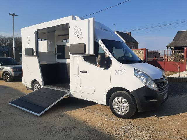 Renault Master - transport chevaux