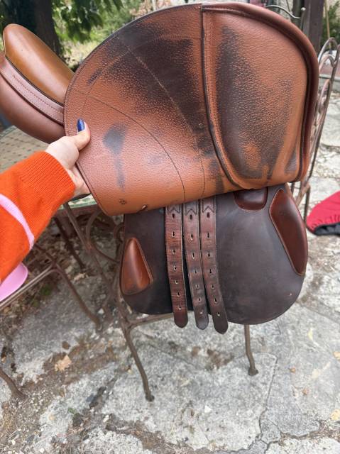 Selle &Eacute;quipe mod&egrave;le Expression 