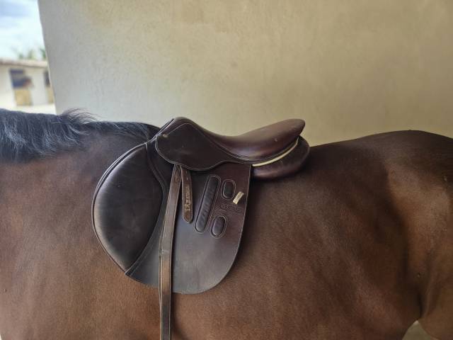 Selle GBS, si&egrave;ge plat, parfait &eacute;tat