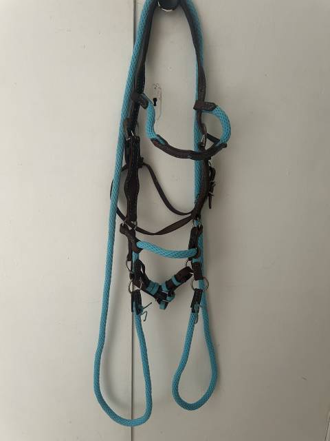 Side turquoise 