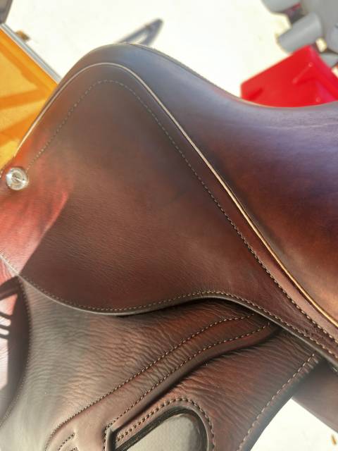SELLE CWD 2GS KIDS 15,5 de 2024