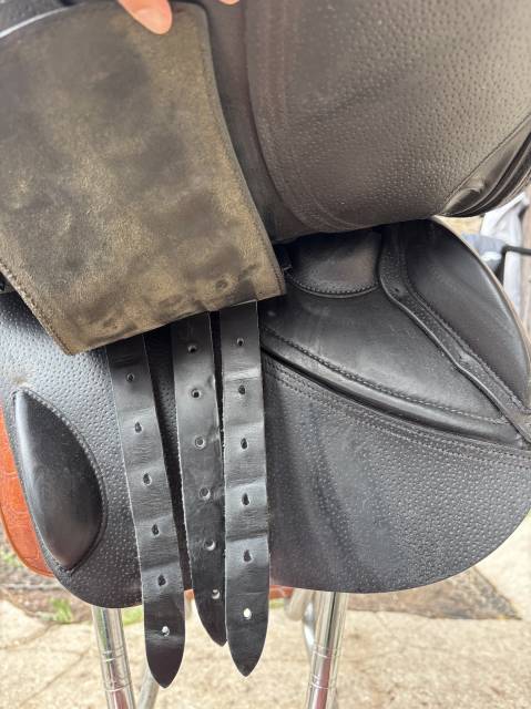 Selle GBS