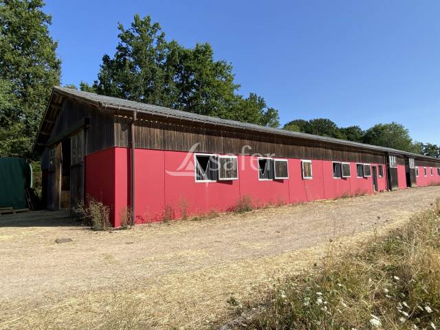 Propri&eacute;t&eacute; &eacute;questre