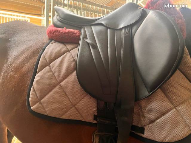 Selle Butet noire 17,5